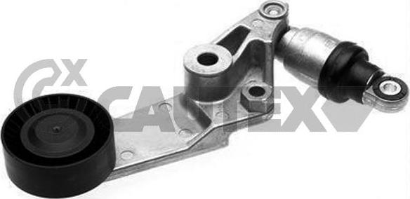 Cautex 759709 - Belt Tensioner, v-ribbed belt autospares.lv