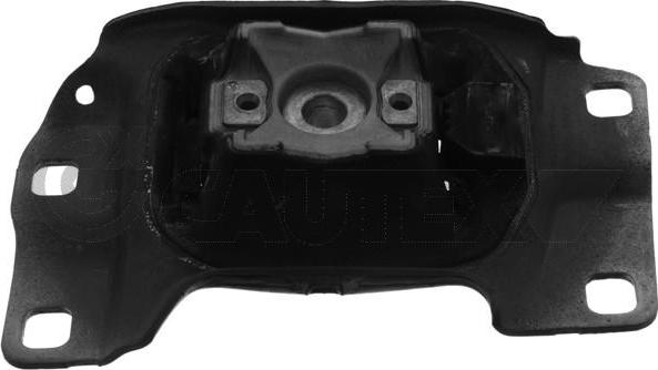 Cautex 756497 - Holder, engine mounting autospares.lv