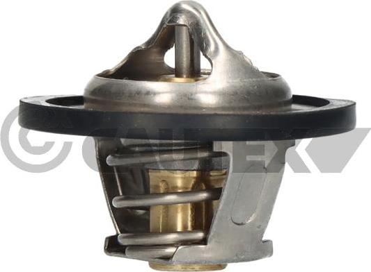 Cautex 756881 - Coolant thermostat / housing autospares.lv