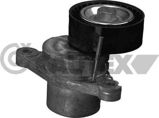 Cautex 756836 - Belt Tensioner, v-ribbed belt autospares.lv