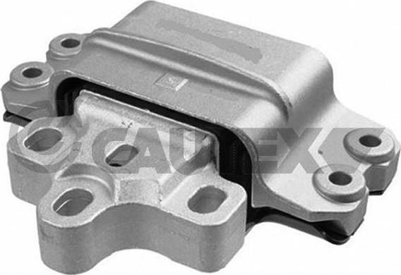 Cautex 756306 - Holder, engine mounting autospares.lv