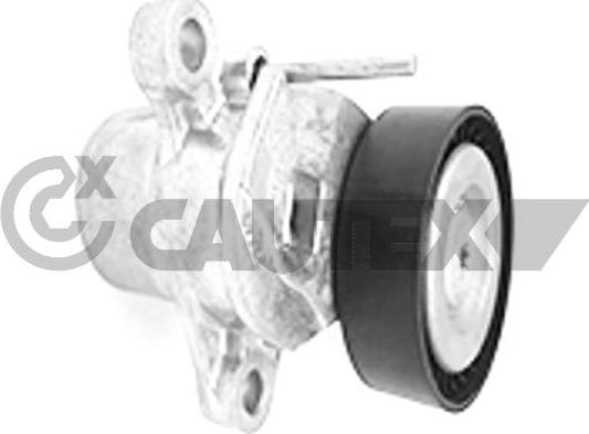 Cautex 751840 - Belt Tensioner, v-ribbed belt autospares.lv