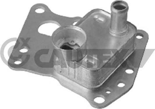 Cautex 751764 - Oil Cooler, engine oil autospares.lv