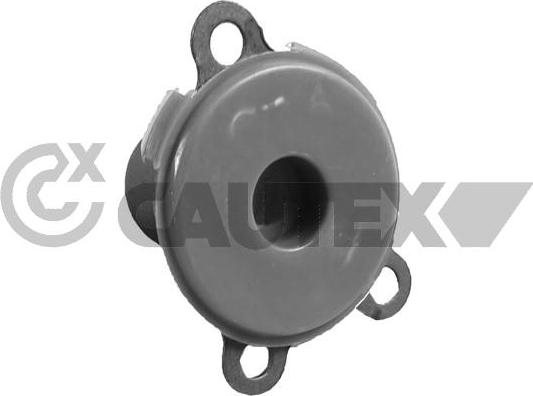 Cautex 758970 - Guide Tube, clutch autospares.lv