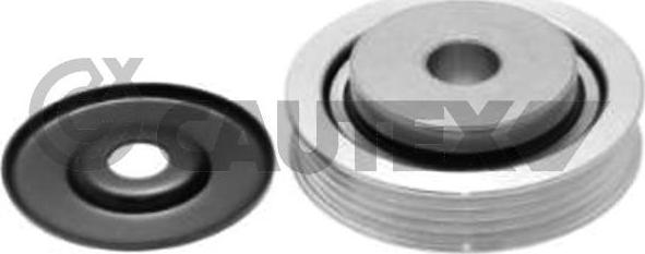 Cautex 752489 - Pulley, v-ribbed belt autospares.lv