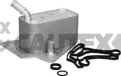 Cautex 768815 - Oil Cooler, engine oil autospares.lv