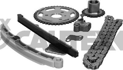 Cautex 775464 - Timing Chain Kit autospares.lv