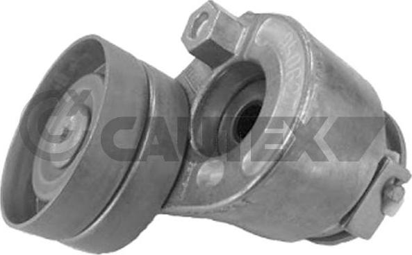 Cautex 770078 - Belt Tensioner, v-ribbed belt autospares.lv