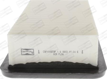 Champion CAF100873P - Air Filter, engine autospares.lv