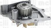 Cifam 824-1049 - Water Pump autospares.lv