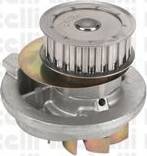 Cifam 824-325 - Water Pump autospares.lv