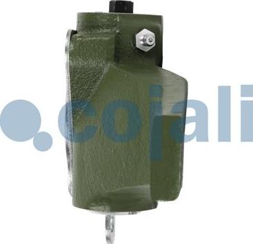 Cojali 4231306 - Adjuster, braking system autospares.lv