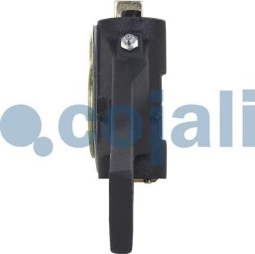 Cojali 4232184 - Adjuster, braking system autospares.lv