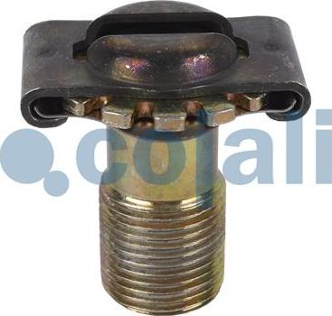 Cojali 6074001 - Repair Kit autospares.lv