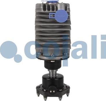 Cojali 2480002 - Air Filter, compressor autospares.lv