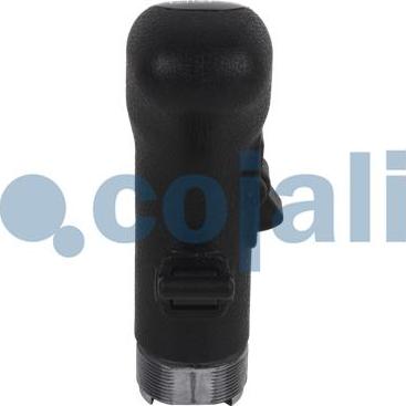 Cojali 2880141 - Gear Lever Knob autospares.lv