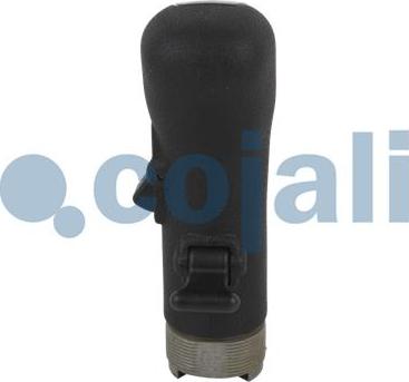 Cojali 2880180 - Gear Lever Knob autospares.lv