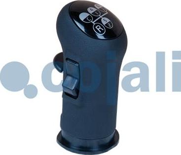 Cojali 2880138 - Gear Lever Knob autospares.lv