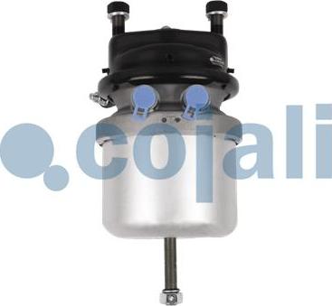 Cojali 2351309 - Spring-loaded Cylinder autospares.lv