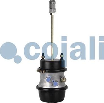 Cojali 2251426 - Multi-function Brake Cylinder autospares.lv