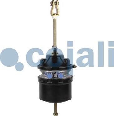 Cojali 2251507 - Spring-loaded Cylinder autospares.lv