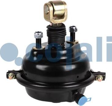 Cojali 2251116 - Diaphragm Brake Cylinder autospares.lv