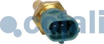 Cojali 2260989 - Sensor, coolant temperature autospares.lv