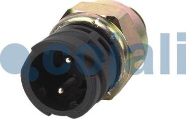 Cojali 2260336 - Switch, differential lock autospares.lv