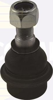 Comline CBJ7097 - Ball Joint autospares.lv