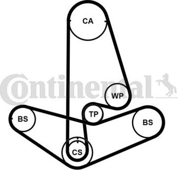 Contitech CT799K2PRO - Timing Belt Set autospares.lv