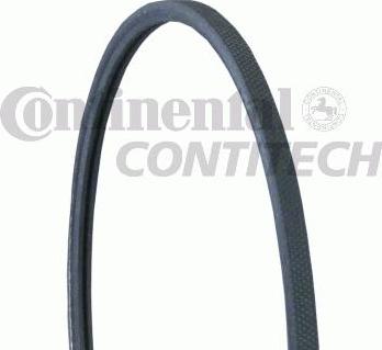 CONTINENTAL CTAM BR 2PJ860 - V-Ribbed Belt autospares.lv