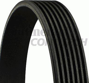 CONTINENTAL CTAM BR 7PK2418 - V-Ribbed Belt autospares.lv