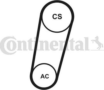 Contitech 5PK705ELASTT1 - V-Ribbed Belt Set autospares.lv