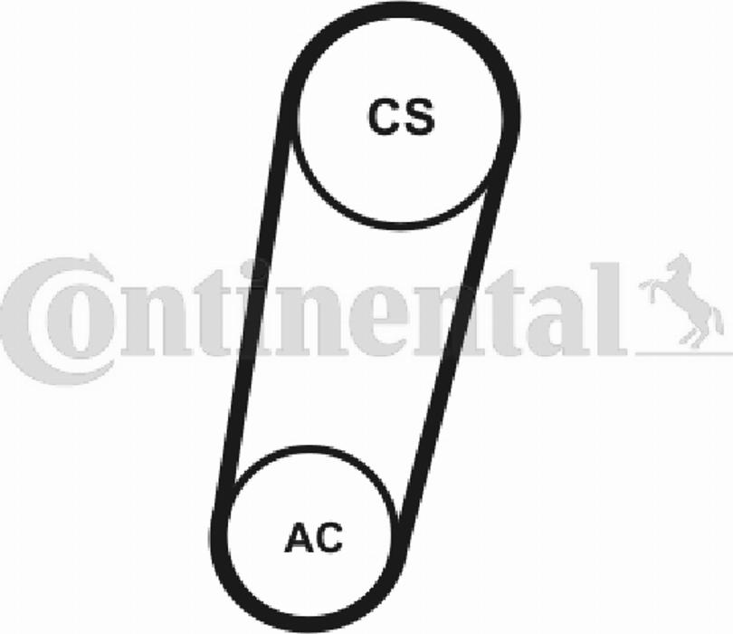 Contitech 5PK705T1 - V-Ribbed Belt autospares.lv