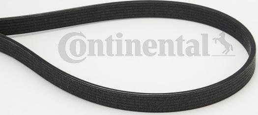 Contitech 6 DPK 1817 - V-Ribbed Belt autospares.lv