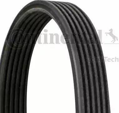 Continental 6DPK1825 - V-Ribbed Belt autospares.lv