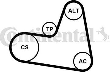 Continental 6PK962K1 - V-Ribbed Belt Set autospares.lv