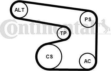 Contitech 6PK1900K1 - V-Ribbed Belt Set autospares.lv