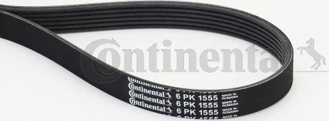 Contitech 6 PK 1555 - V-Ribbed Belt autospares.lv