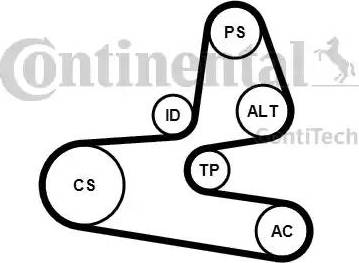 Continental 6PK1564K1 - V-Ribbed Belt Set autospares.lv