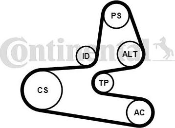 Contitech 6PK1564K1 - V-Ribbed Belt Set autospares.lv