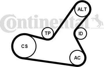 Contitech 6PK1564K2 - V-Ribbed Belt Set autospares.lv