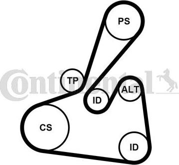 Continental 6PK1502 EXTRA K2 - V-Ribbed Belt Set autospares.lv