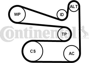 Contitech 6PK1693WP1 - Water Pump + V-Ribbed Belt Set autospares.lv