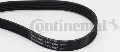 Contitech 6PK1605 - V-Ribbed Belt autospares.lv