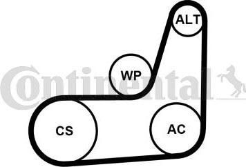 Contitech 6PK1019 ELAST T2 - V-Ribbed Belt Set autospares.lv