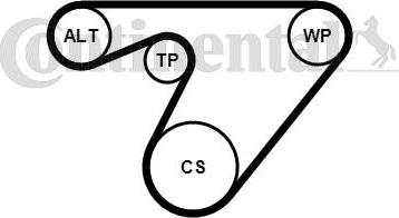 Contitech 6PK1180K3 - V-Ribbed Belt Set autospares.lv