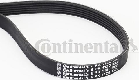 Contitech 6 PK 1120 - V-Ribbed Belt autospares.lv