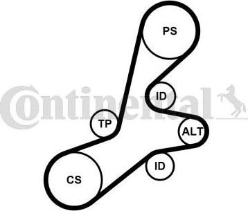 Contitech 6PK1352K1 - V-Ribbed Belt Set autospares.lv