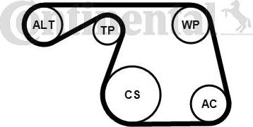 Contitech 6PK1310K1 - V-Ribbed Belt Set autospares.lv